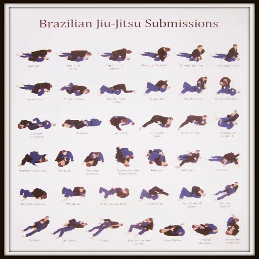 BJJ submissions.jpg