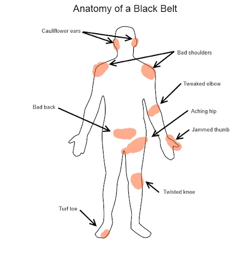 BJJ anatomy.png