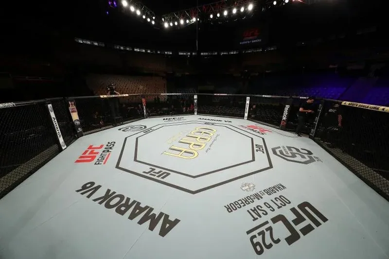 The UFC octagon.